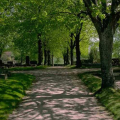 Park
